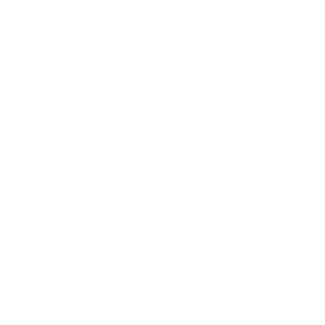 Custom software